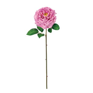 _}XNO[Y[u^sNA[eBtBVt[ԃ[Y΂[TDLFM000380-042]y t[Mtg A[gt[ CeAt[ AWgt[ 1֍炫 z