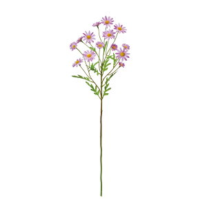 mX^WAf[W[CbNA[eBtBVt[ԃf[W[tlt[[TDLFM000693-050]y t[Mtg A[gt[ CeAt[ AWgt