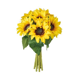 VTt[ohCG[^uE1A[eBtBVt[ԂЂ܂[TDLFM004829-008]y t[Mtg A[gt[ CeAt[ AWgt