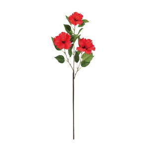 pfBnCrXJXbhA[eBtBVt[ԃnCrXJX[TDLFM009070-003]y t[Mtg A[gt[ CeAt[ AWgt[ fBXvC z