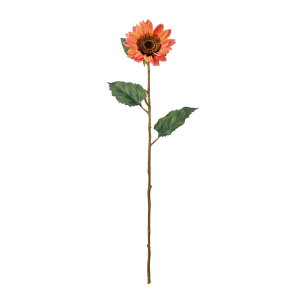 TZbgTt[R[A[eBtBVt[ԂЂ܂[TDLFM007052-028]y t[Mtg A[gt[ CeAt[ AWgt[ fBXvC z