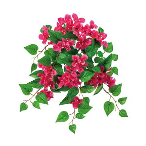 u[QrAubVr[eBA[eBtBVt[ԃu[QrA[TDLFM000547]y t[Mtg A[gt[ CeAt[ AWgt[ ubV