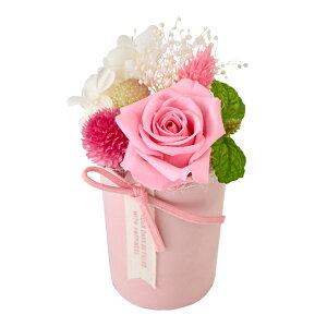 ~~sNAWgvU[uht[MtgAW[TDLZY006330-002]y t[Mtg A[gt[ CeAt[ AWgt[ fBXvC z