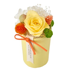 ~~CG[AWgvU[uht[MtgAW[TDLZY006330-004]y t[Mtg A[gt[ CeAt[ AWgt[ fBXvC z