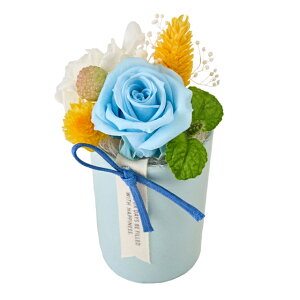 ~~u[AWgvU[uht[MtgAW[TDLZY006330-005]y t[Mtg A[gt[ CeAt[ AWgt[ fBXvC z