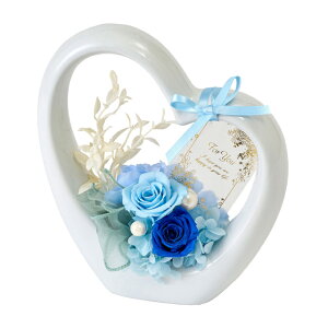 Lu[AWgvU[uht[MtgAW[TDLZY006332-005]y t[Mtg A[gt[ CeAt[ AWgt[ fBXvC z