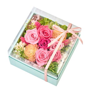 tBI sN [TDLZY006334-002] vU[uht[ t[AWg MtgAW CeAt[ t[Mtg t[{bNX o [Y KN