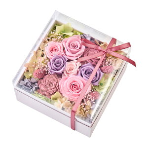 tBI x_[ [TDLZY006334-011] vU[uht[ t[AWg MtgAW CeAt[ t[Mtg t[{bNX o [Y KN