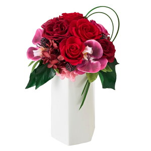 {k[AWgvU[uht[MtgAW[TDLZY006337]y t[Mtg A[gt[ CeAt[ AWgt[ fBXvC z