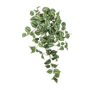 XL_vTXOoCO[A[eBtBVt[ԃ|gX[TDLFG302513]ylHϗtAECeAt[ tFCNO[ fBXvC CeAO[ z