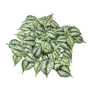 XL_vTX}bgO[A[eBtBVt[ԃ|gX}bgfBXvC[TDLFG302512]ylHϗtAECeAt[ tFCNO[ fBXvC CeAO[