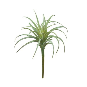 \jAeBWAMO[A[eBtBVt[ԃGAvc[TDLFG302509-024]ylHϗtAECeAt[ tFCNO[ fBXvC CeAO[ z