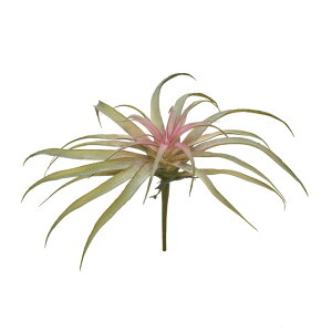 \jAeBWALsNO[A[eBtBVt[ԃGAvc[TDLFG302510-026]ylHϗtAECeAt[ tFCNO[ fBXvC CeAO[ z