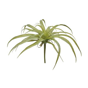 \jAeBWALO[A[eBtBVt[ԃGAvc[TDLFG302510-024]ylHϗtAECeAt[ tFCNO[ fBXvC CeAO[ z