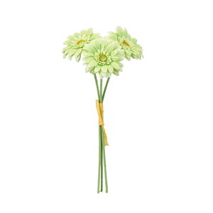 \CK[xohCgO[1A[eBtBVt[ԃK[x[TDLFM002832-023]y t[Mtg A[gt[ CeAt[ AWgt[ o