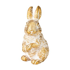 ~jVr[rbgAS[h^zCgI[iguCeAfBXvCfR[Vf[TDLZE000604]yfR[Vu I[ig CxgObY IuWF z