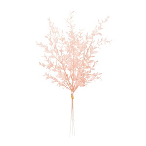 XJXsbNsN1A[eBtBVt[ԃ~j[t[TDLFG002204-002]yt[Mtg  fBXvC sbN t[CeA t[AWg z