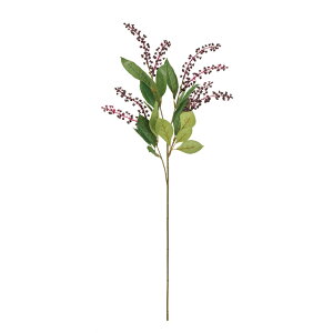 }S{Eo[KfB^p[vA[eBtBVt[Ԏ̎}[TDLFM000561]yfBXvC nhCh CeAt[ K[fjOpi i`AW z