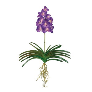 Cho_I[Lbhp[vA[eBtBVt[ԃI[Lbh[TDLFW020475]y t[Mtg A[gt[ CeAt[ AWgt[ fBXvC 