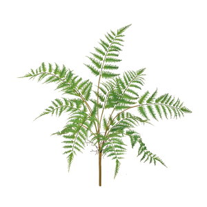 tHXgt@[ubVO[A[eBtBVt[ԃV_t@[[TDLFG000630]yt[Mtg  fBXvC tFCNO[ lHϗtA K[fpi z