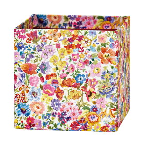 oeBvg~jBOXNVbNEK[foeBt@ubNx[XԊx[X[TDLLB000116-166]yt[x[XfUC CxgfBXvC BOX CeA bsO z