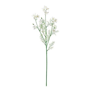 ftBjEVlVXzCgA[eBtBVt[ԃftBjE[TDLFM002994-001]y t[Mtg A[gt[ CeAt[ AWgt[ z