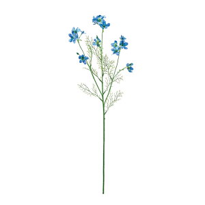 ftBjEVlVX_[Nu[A[eBtBVt[ԃftBjE[TDLFM002994-010]y t[Mtg A[gt[ CeAt[ AWgt[ z