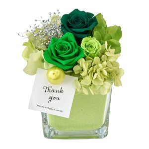 NXL[uIIO[AWgvU[uht[MtgAW[TDLZY006333-024]y t[Mtg A[gt[ CeAt[ AWgt[ fBXv