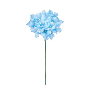 y12{ZbgzVnChWAu[A[eBtBVt[ԂnChWA[TDLFM005120-005]y t[Mtg A[gt[ CeAt[ AW