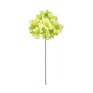 y12{ZbgzVnChWACgO[A[eBtBVt[ԂnChWA[TDLFM005120-023]y t[Mtg A[gt[ CeAt[ A