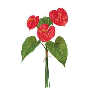 g}gAXohbh1A[eBtBVt[ԃAXE[TDLFM007862]y t[Mtg A[gt[ CeAt[ AWgt[ fBXvC z