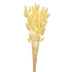 OXN[hCt[J[[TDLFD042050-041]y t[Mtg A[gt[ CeAt[ AWgt[ fBXvC z