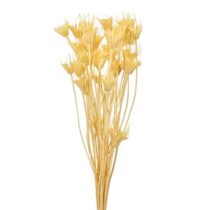 jQIG^XN[hCt[J[[TDLFD007575-041]y t[Mtg A[gt[ CeAt[ AWgt[ fBXvC z