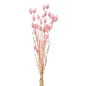 |AvcsNLfB[hCt[J[[TDLFD042020-063]y t[Mtg A[gt[ CeAt[ AWgt[ fBXvC z