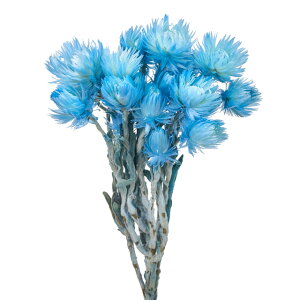 Vo[f[W[~jlhCt[J[[TDLFD004441-035]y t[Mtg A[gt[ CeAt[ AWgt[ fBXvC z