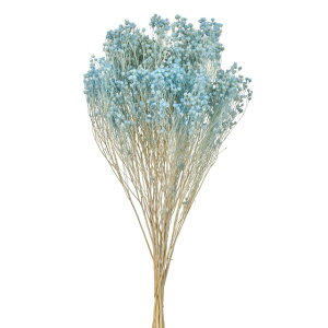 \jAlhCt[J[[TDLFD004725-035]y t[Mtg A[gt[ CeAt[ AWgt[ fBXvC z