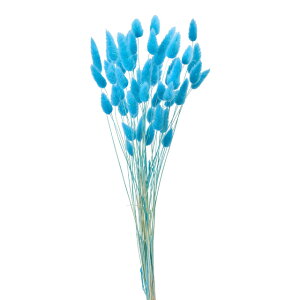 OXlhCt[J[[TDLFD042050-035]y t[Mtg A[gt[ CeAt[ AWgt[ fBXvC z