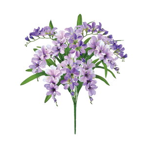 t[WAubVx_[p[vA[eBtBVt[ԃt[WA[TDLFM009552-017]y t[Mtg A[gt[ CeAt[ AWgt[ fBXv