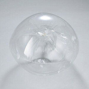 PFo[26i^j5o[t[pޗfR[Vf[TDLGI000226]yt[Mtg  fBXvC DAW NAo[ z