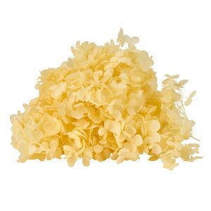 \tgAixN[2֓vU[uht[AWTC[TDLFD004730-041]y t[Mtg A[gt[ CeAt[ AWgt[ fBXvC V