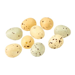 i`GbO~jx[W~bNX24RfR[Vfނ܂C[X^[I[igu[TDLZE003206]y̏ IuWF C[X^[GbO I[ig Cxgpi z