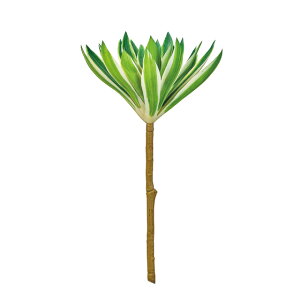 AGIjE}O[^N[A[eBtBVt[ԑA[TDLFG002775]ytFCNO[ElHϗtAECeAt[ fBXvC CeAO[ z