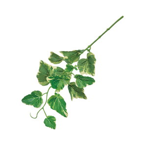 wfzCg_[N[^O[1A[eBtBVt[ԃACr[~j[t[TDLFG000841]yt[Mtg  fBXvC tFCNO[ lHϗtA K[