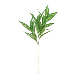 RfBlXv[O[A[eBtBVt[ԃgsJ[t[TDLFG000236]yt[Mtg  fBXvC tFCNO[ lHϗtA K[fpi z