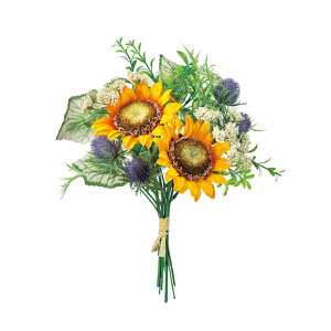 i`Tt[u[PCG[^O[1A[eBtBVt[ԉԑЂ܂[TDLFM001425]y t[Mtg A[gt[ CeAt[ AWgt