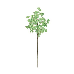 |VXXv[CgO[A[eBtBVt[ԃVK[oC[TDLFG001300]yt[Mtg  fBXvC tFCNO[ lHϗtA K[fpi z