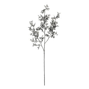 m[X}CbNXubNA[eBtBVt[ԃX}CbNX[TDLFG003727]ytFCNO[ElHϗtAECeAt[ fBXvC CeAO[ z