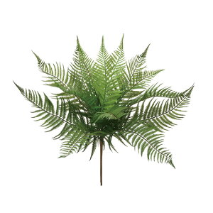 XEH[ht@[ubVO[A[eBtBVt[ԃV_t@[[TDLFG000149]yt[Mtg  fBXvC tFCNO[ lHϗtA K[fpi z