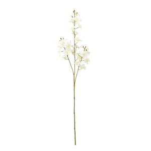 GKeI[LbhN[A[eBtBVt[ԃI[Lbh[TDLFM005027-001]y t[Mtg A[gt[ CeAt[ AWgt[ fBXvC 