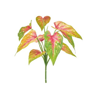 r[JW[ubVbh^O[A[eBtBVt[ԃgsJ[t[TDLFG002951]ytFCNO[ElHϗtAECeAt[ fBXvC Ce